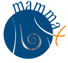 MammaX